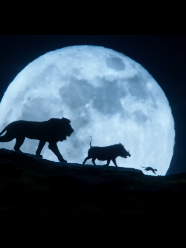 Mufasa: The Lion King Mufasa: The Lion King movie Mufasa movie The Lion King movie movie upcoming movie